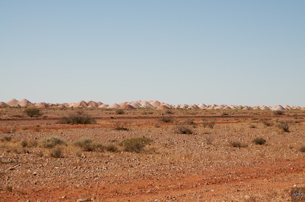 AustraliaAdelaide 10  143